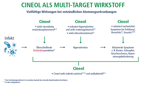 Darstellung Cineol als Multi Target Wirkstoff