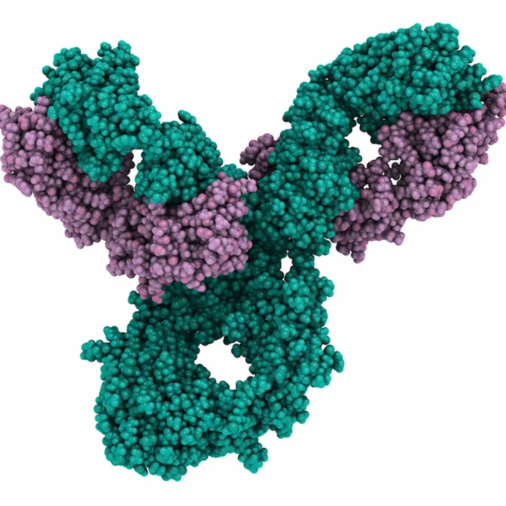 Pembrolizumab Immun-Checkpoint-Inhibitor der auf PD-1 abzielt 