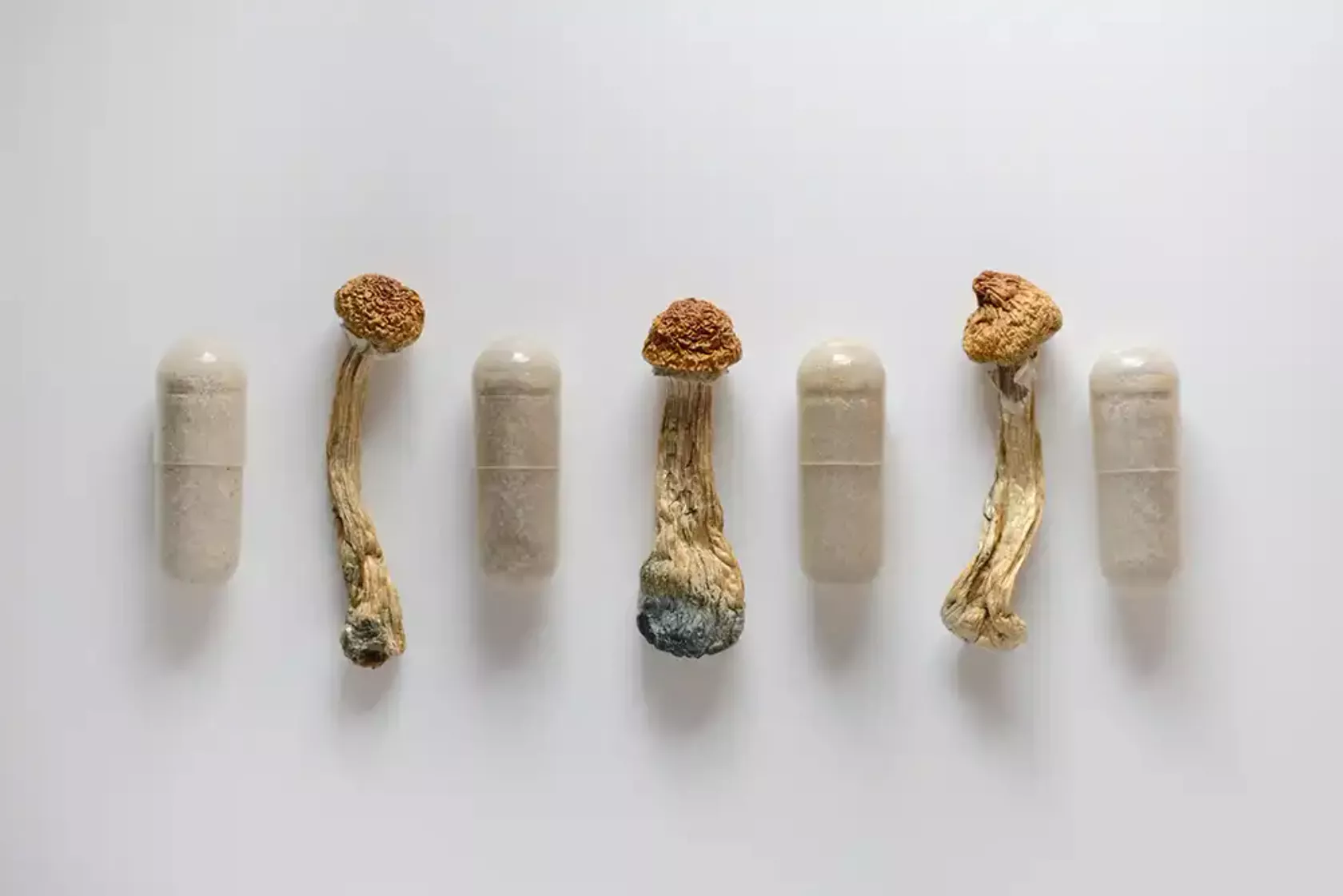 Kleine Magic Mushrooms mit dem Wirkstoff Psilocybin und Kapseln mit dem Pulver der Pilze.