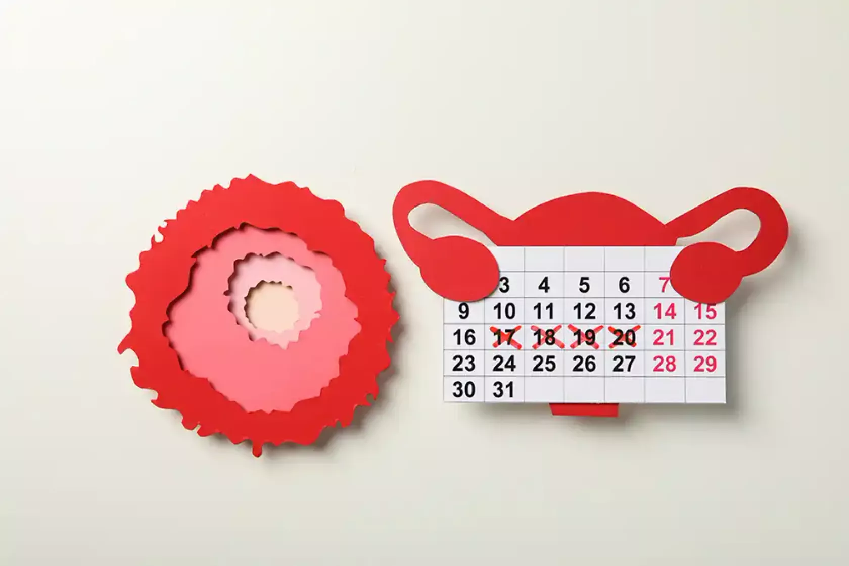 Papier-Modell eines Uterus und Kalender mit markierten Tagen der Fruchtbarkeit und Ovarien.